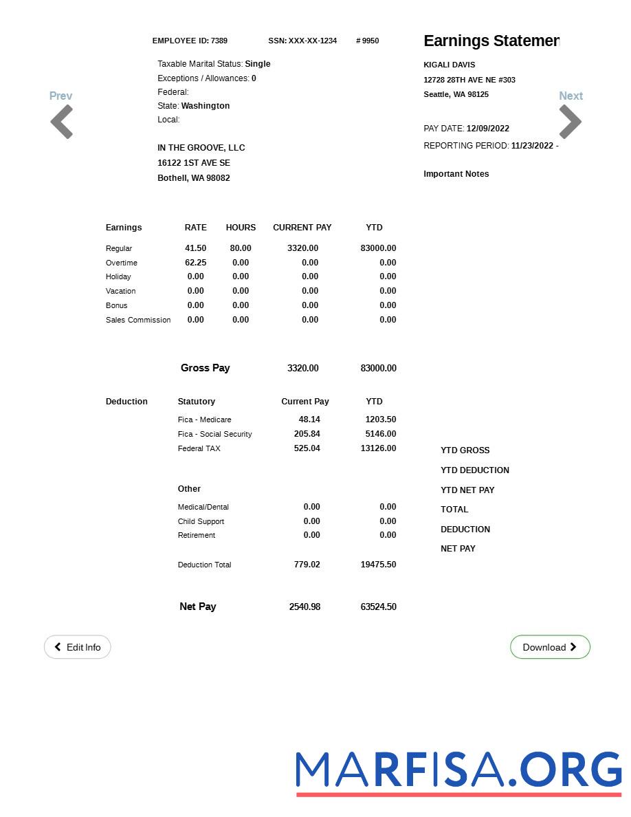 Blank In The Groove LLC earnings statement sample